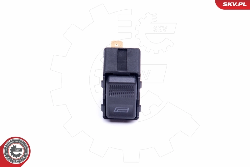 Switch, window regulator